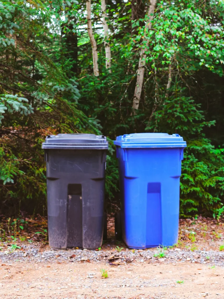 Trash bins outside at the curb